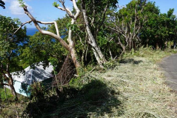 Image No.8-Terre à vendre à Cap Estate