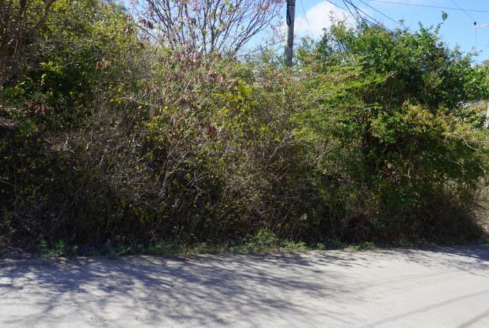 Image No.5-Terre à vendre à Cas En Bas