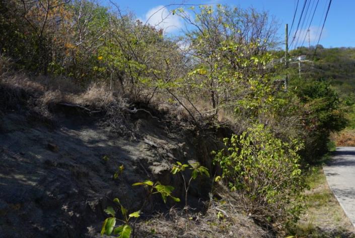 Image No.4-Terre à vendre à Cas En Bas