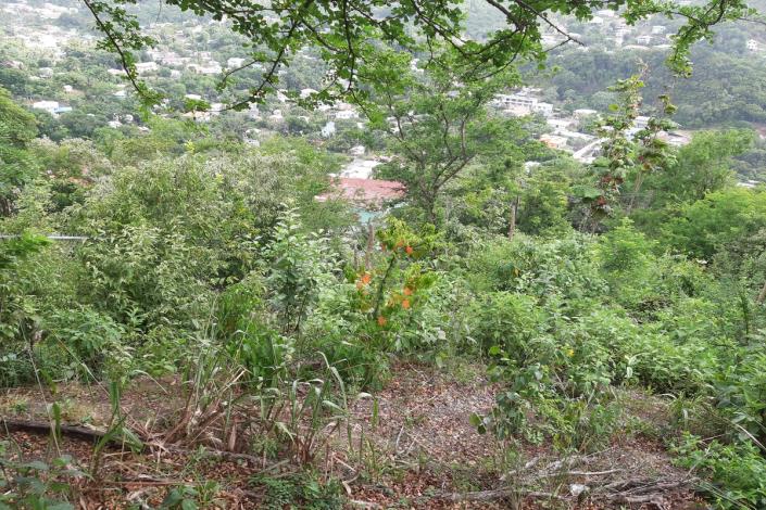 Image No.3-Terre à vendre à Gros Islet