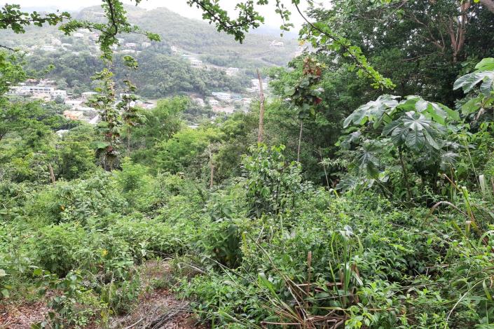 Image No.4-Terre à vendre à Gros Islet