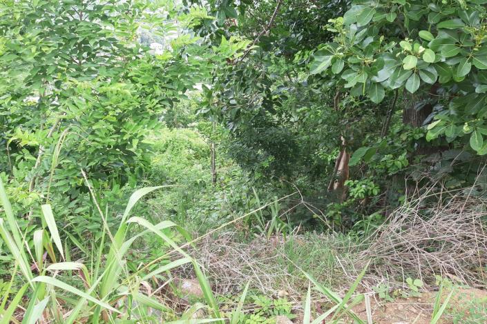 Image No.5-Terre à vendre à Gros Islet