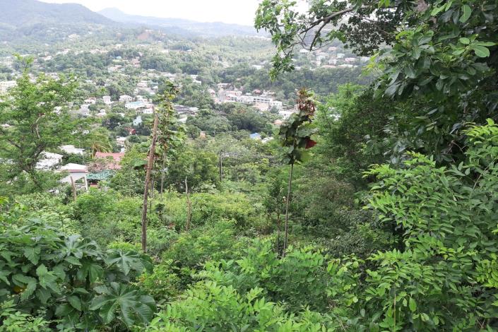 Image No.2-Terre à vendre à Gros Islet