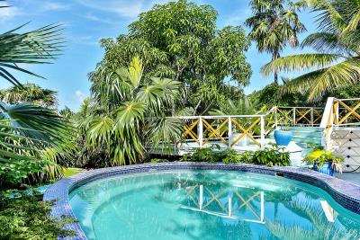 St-Lucia-Homes-Moon-Song-Villa-Outdoor-Pool-4