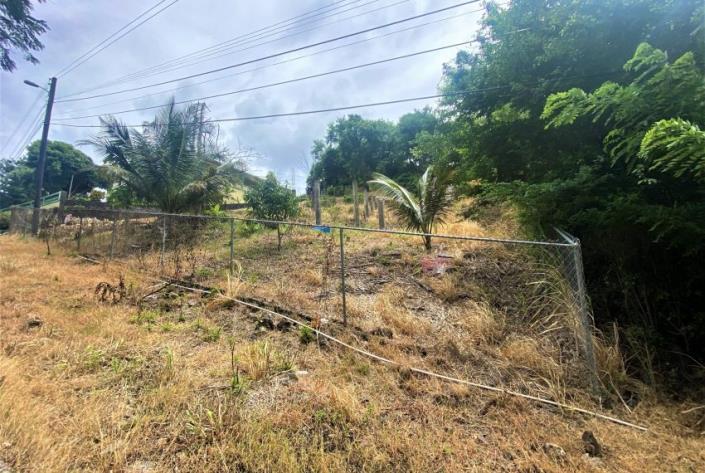 Image No.4-Terre à vendre à Gros Islet