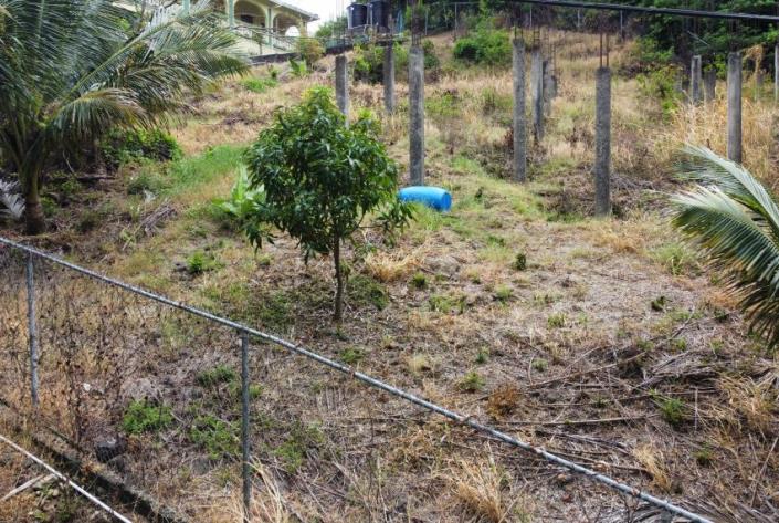 Image No.3-Terre à vendre à Gros Islet