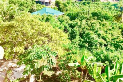 St-Lucia-Homes-Real-Estate-Sea-View-ALR011-Yard-2-850x570