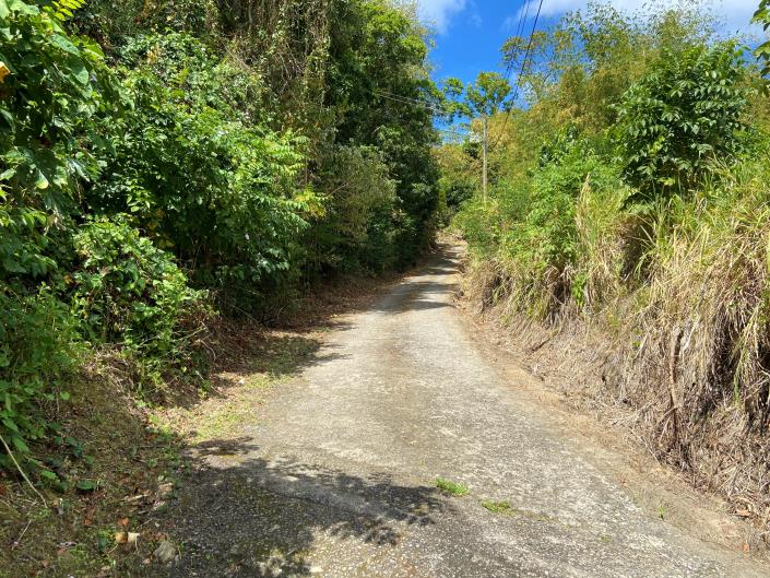 Image No.8-Terre à vendre à Marigot Bay