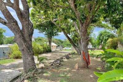 St-Lucia-homes-CAS040-Villa-Massade-Yard-850x570