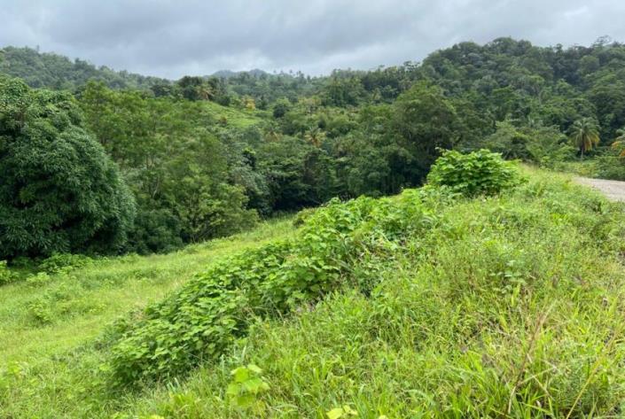 Image No.1-Land for sale