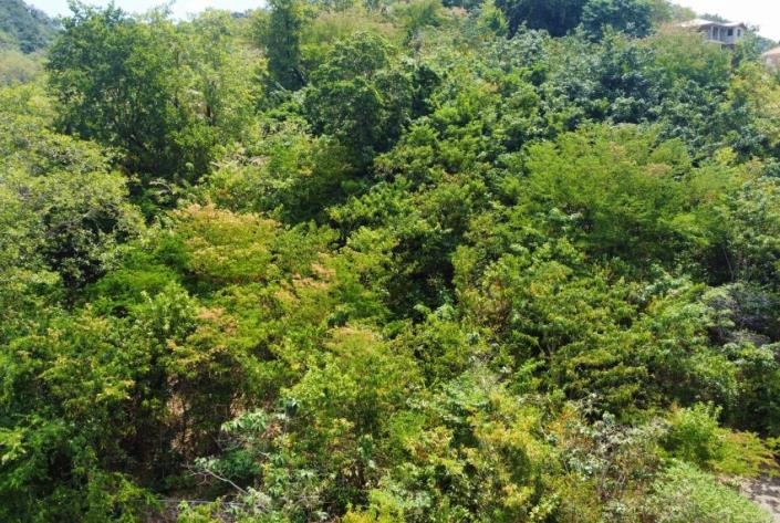 Image No.3-Land for sale