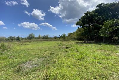 St-Lucia-Homes-CHS-010-L-10-850x570