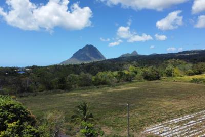 St-Lucia-Homes-CHS-010-L-12-850x570