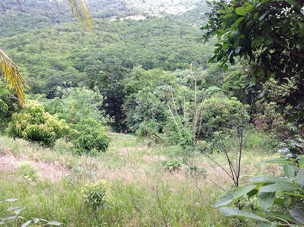 Image No.1-Land for sale