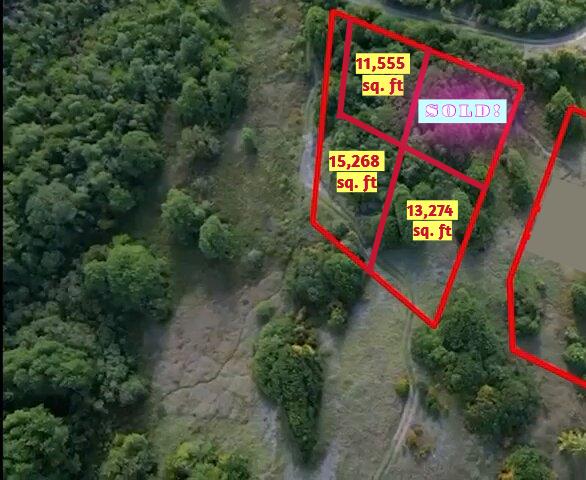 Image No.10-Terre à vendre à Micoud