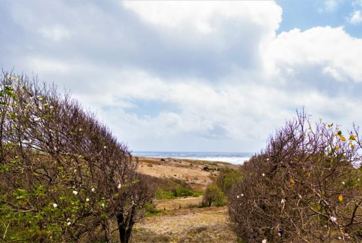 Image No.9-Terre à vendre à Micoud