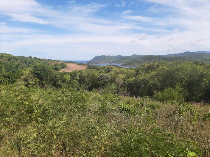 Image No.5-Land for sale