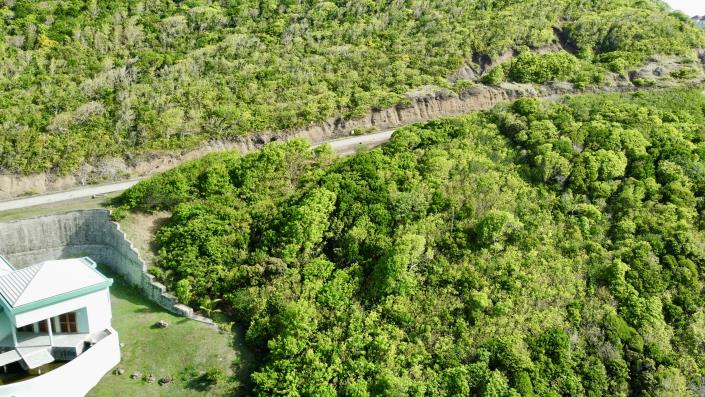 Image No.5-Terre à vendre à Cap Estate