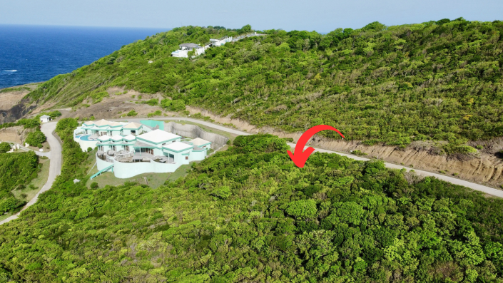 Image No.4-Terre à vendre à Cap Estate