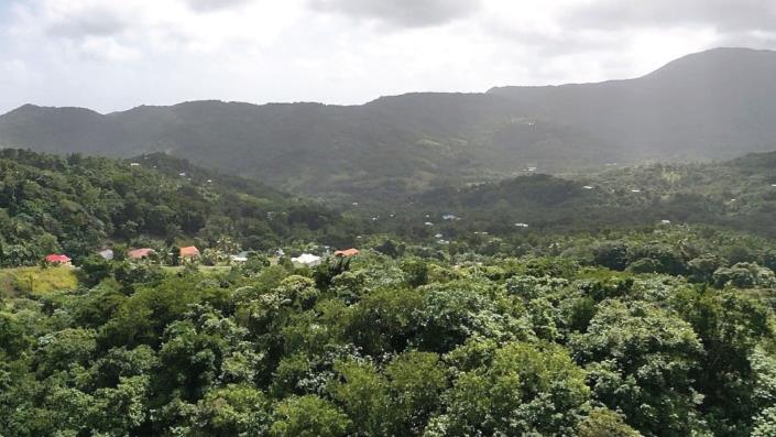 Image No.3-Land for sale