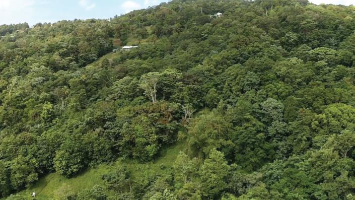 Image No.4-Land for sale