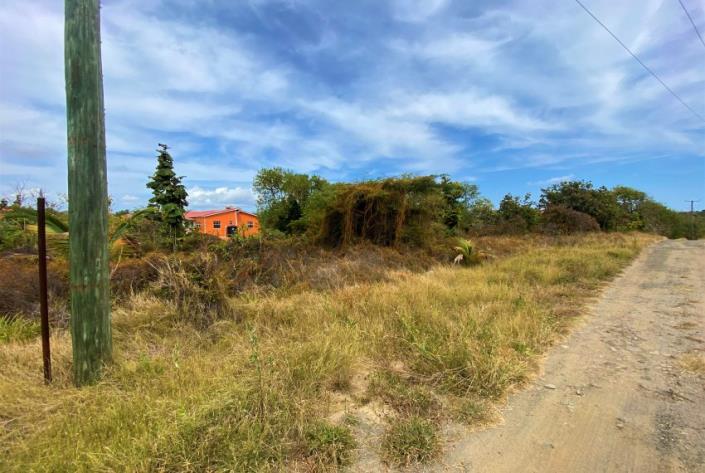 Image No.5-Terre à vendre à Micoud