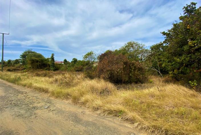 Image No.6-Terre à vendre à Micoud