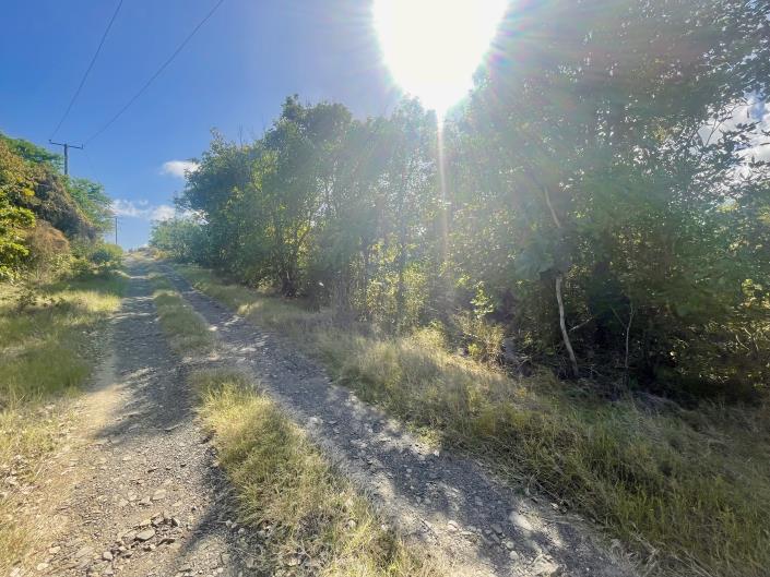 Image No.4-Terre à vendre à Micoud