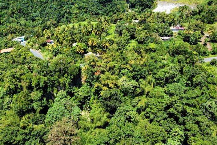 Image No.3-Terre à vendre à Soufrière