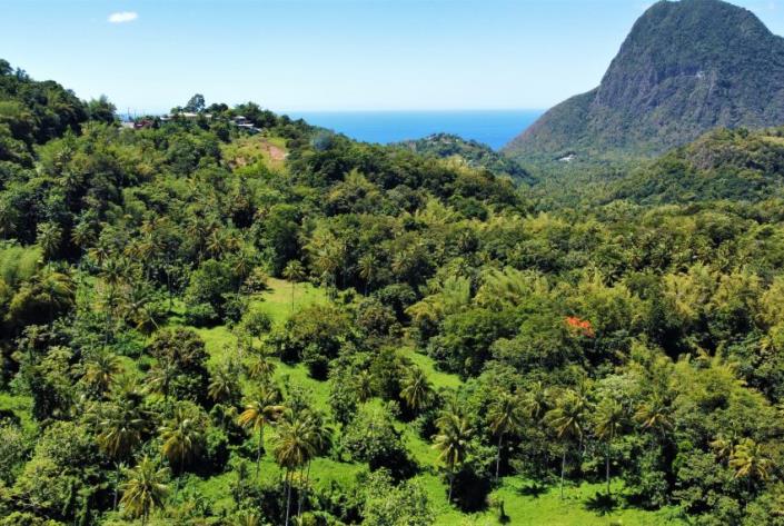 Image No.2-Terre à vendre à Soufrière