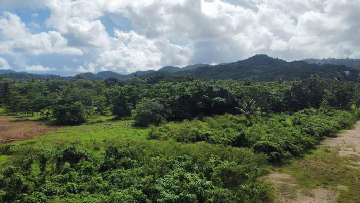 Image No.6-Terre à vendre à Castries