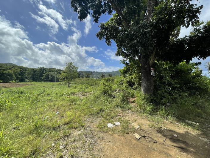 Image No.7-Terre à vendre à Castries