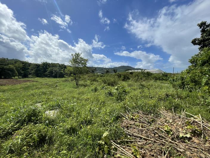 Image No.8-Terre à vendre à Castries