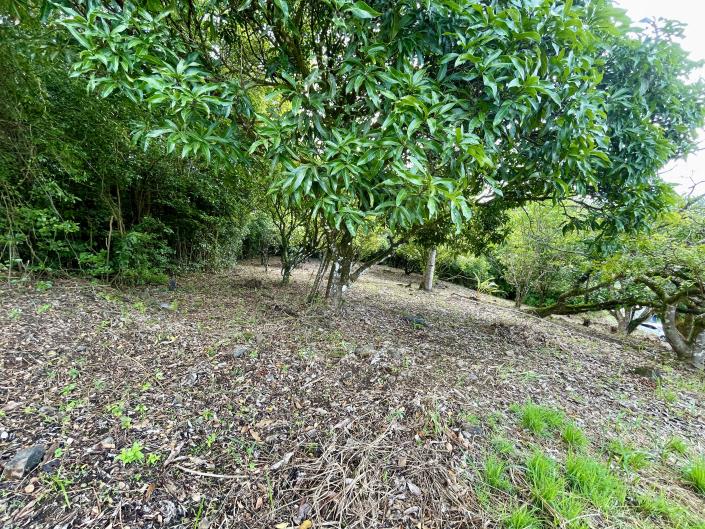 Image No.4-Land for sale