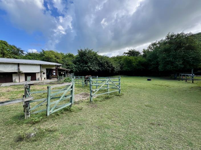 Image No.9-5 Bed House for sale