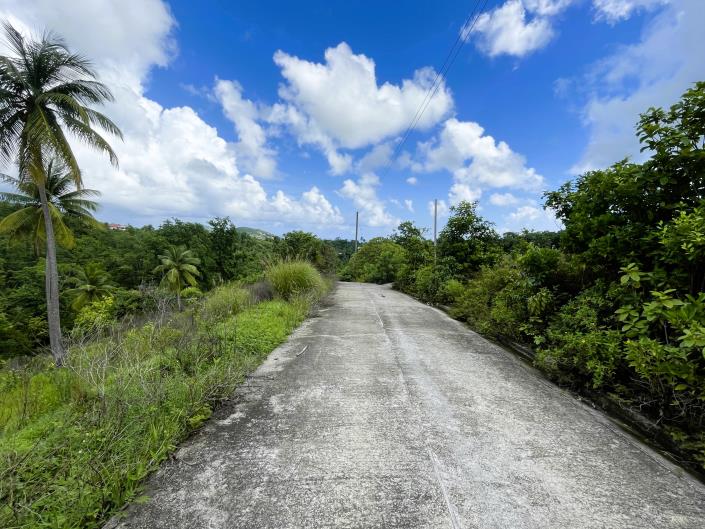 Image No.4-Terre à vendre à Vieux Fort