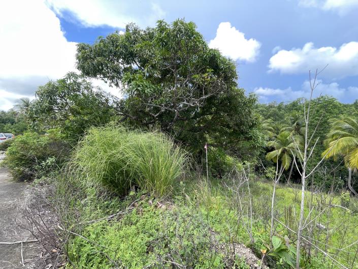 Image No.3-Terre à vendre à Vieux Fort