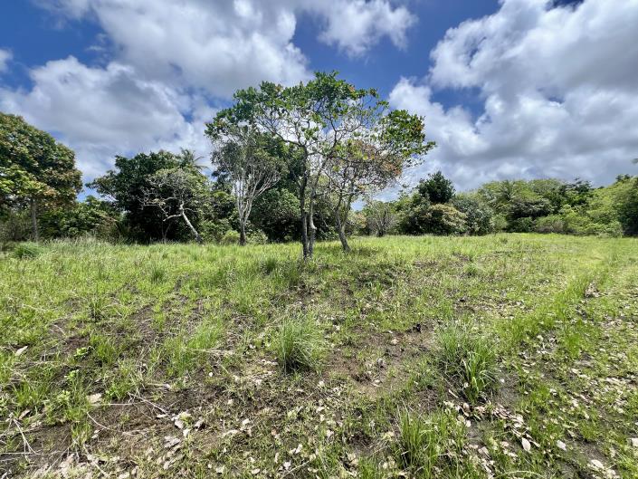 Image No.2-Land for sale