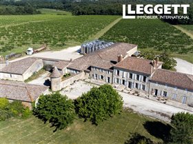 Image No.0-Châteaux à vendre à Sauveterre-de-Guyenne