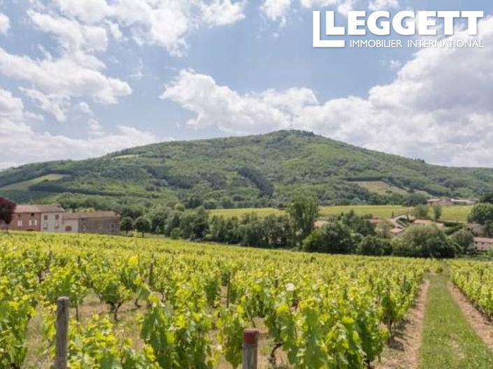 Image No.9-Commercial de 11 chambres à vendre à Rhône