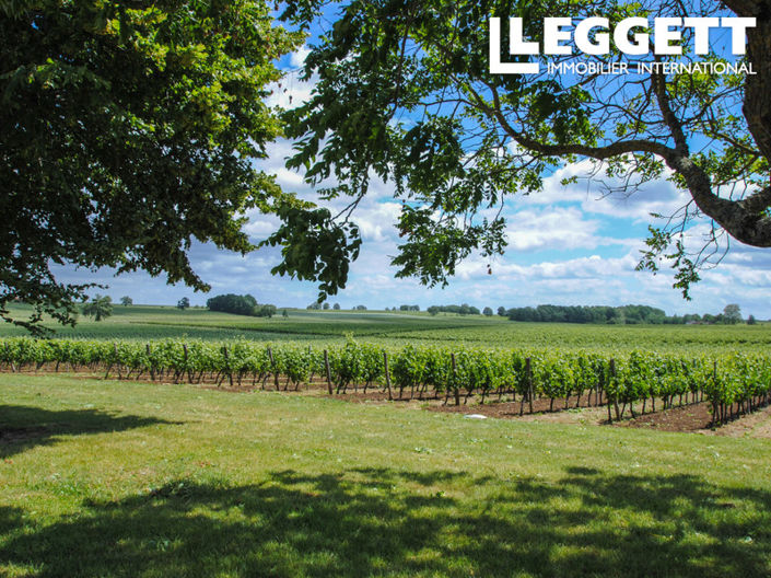 Image No.3-Commercial de 7 chambres à vendre à Doulezon