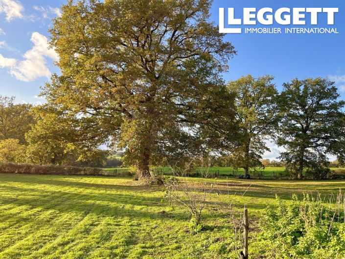 Image No.6-Bar à vendre à Chabrac