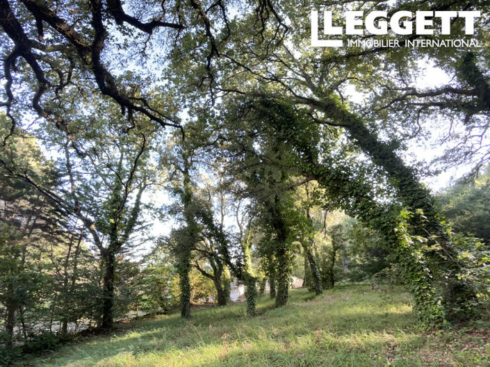 Image No.5-Terre à vendre à La Garde-Freinet