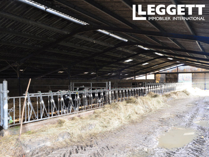 Image No.2-Commercial for sale