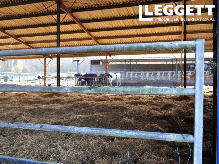 Image No.3-Commercial for sale