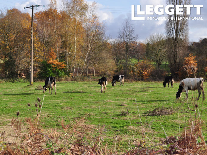 Image No.8-Commercial for sale