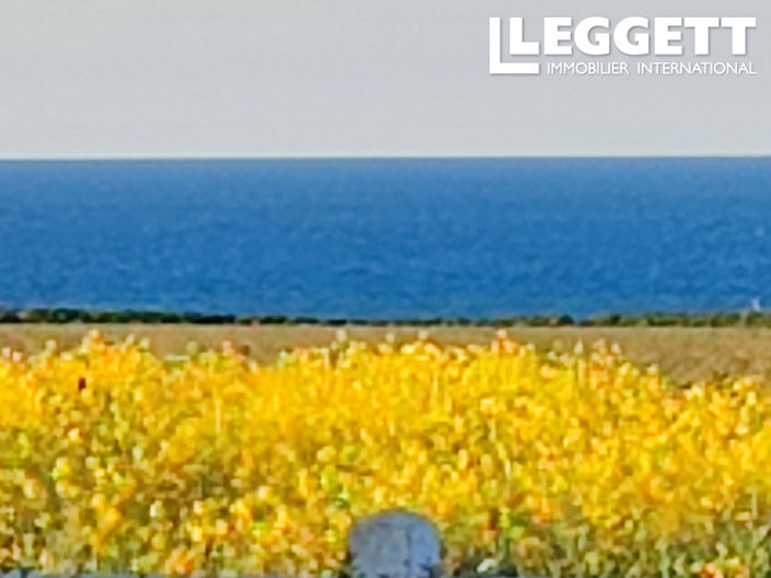 Image No.3-4 Bed House for sale