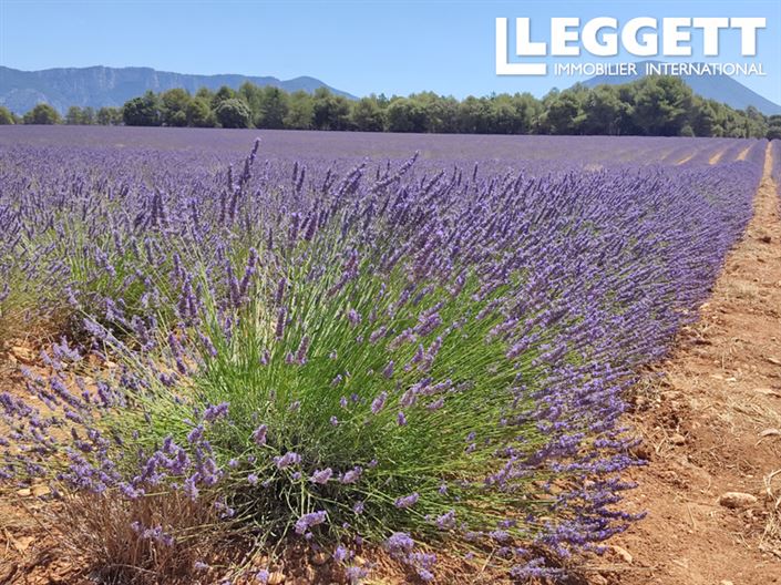 Image No.4-Appartement de 1 chambre à vendre à Brignoles