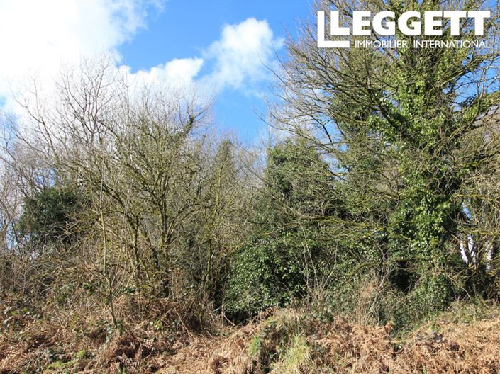 Image No.2-Maison à vendre à Maël-Pestivien