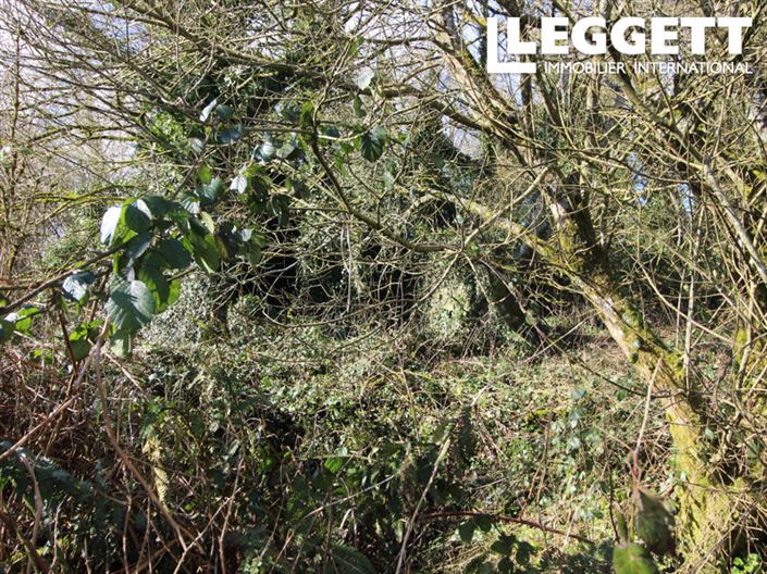 Image No.3-Maison à vendre à Maël-Pestivien